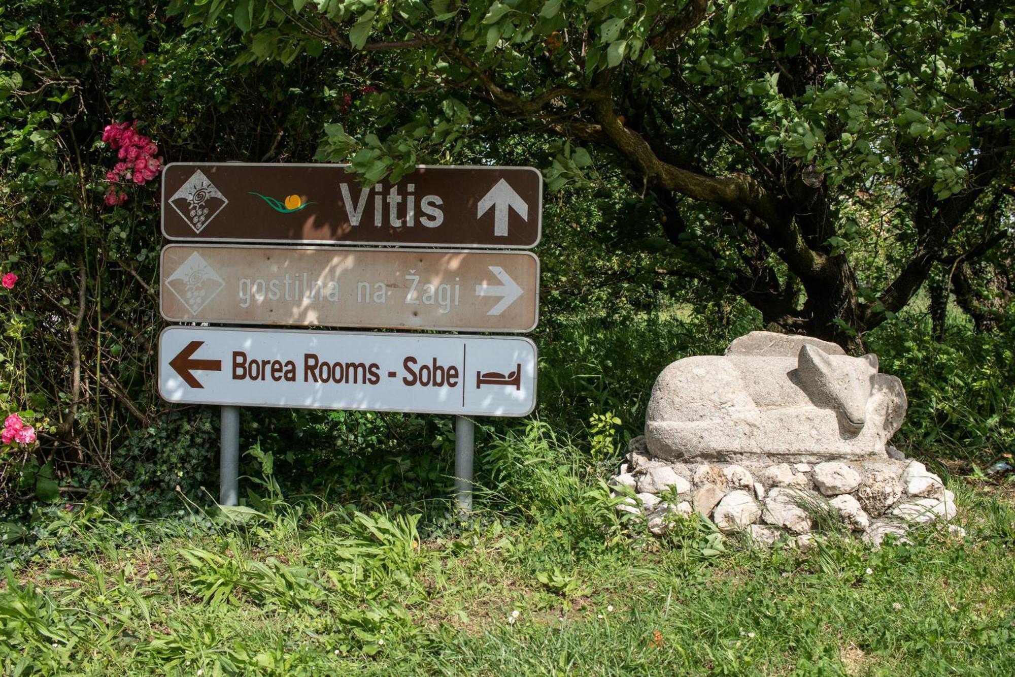 Borea Rooms - Sobe Budanje Випава Экстерьер фото