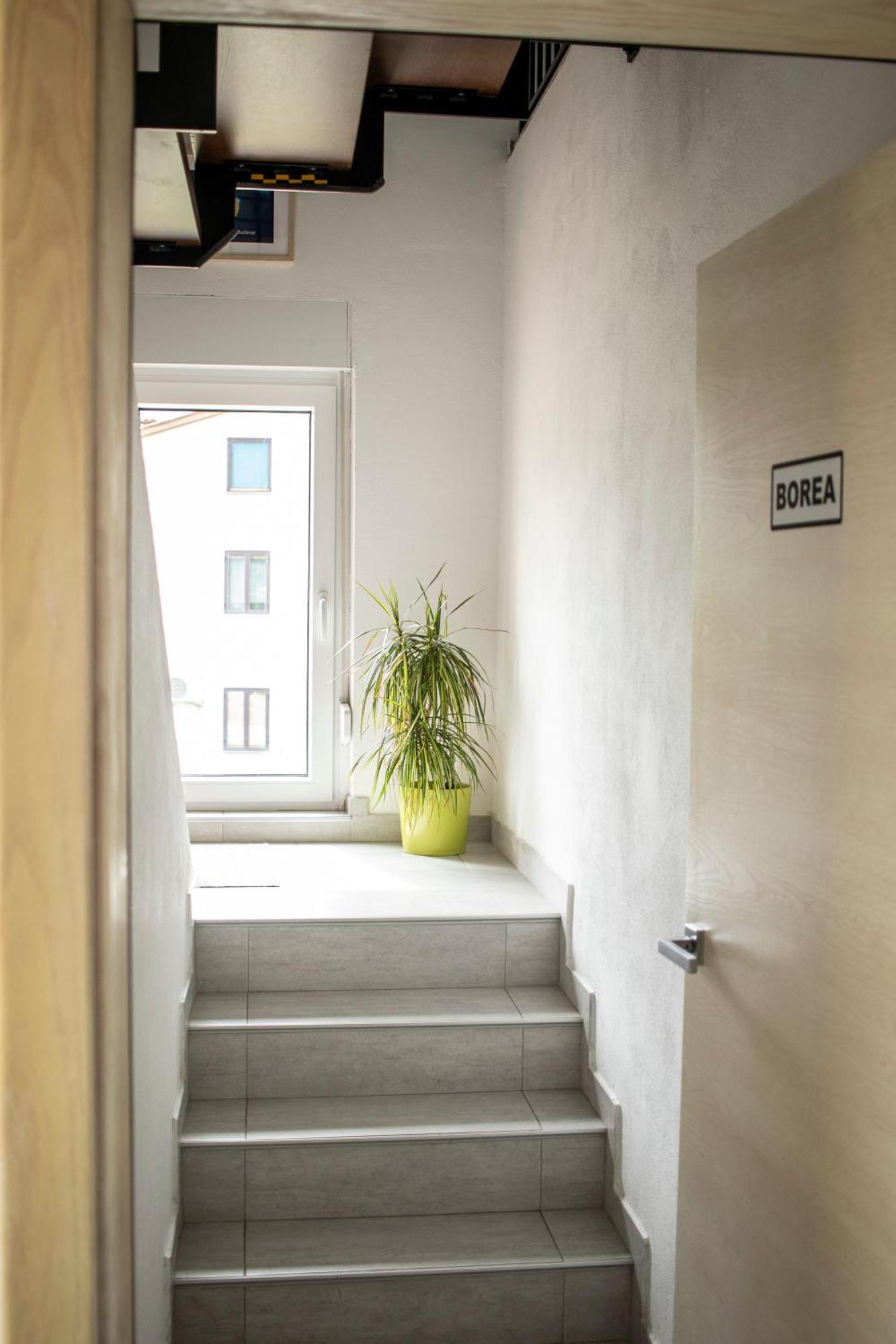 Borea Rooms - Sobe Budanje Випава Экстерьер фото